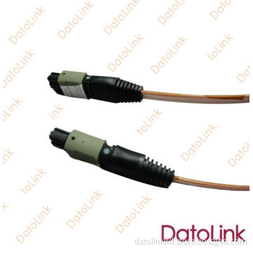 MTP Patch Cords
